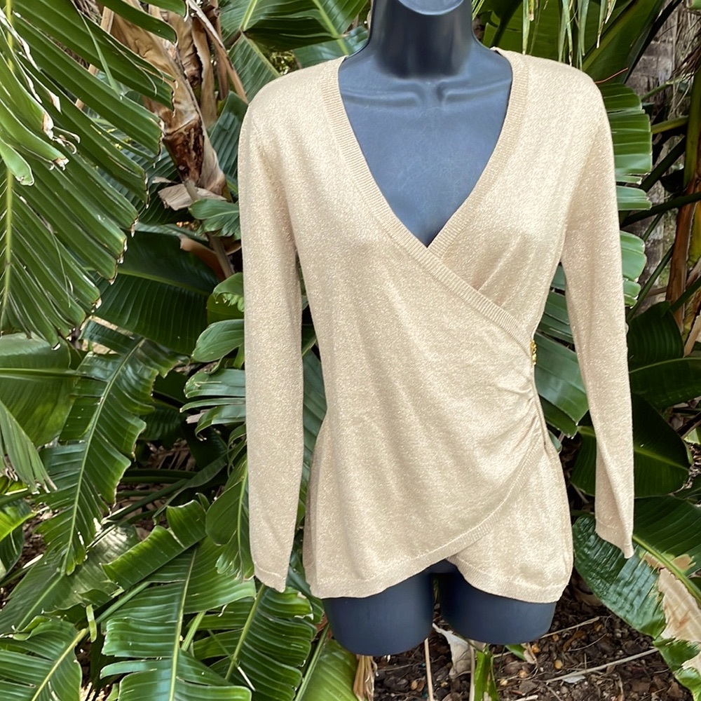 gold metallic sparkle, sweater, or top